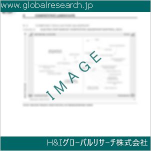 グローバルリサーチ調査資料のイメージ